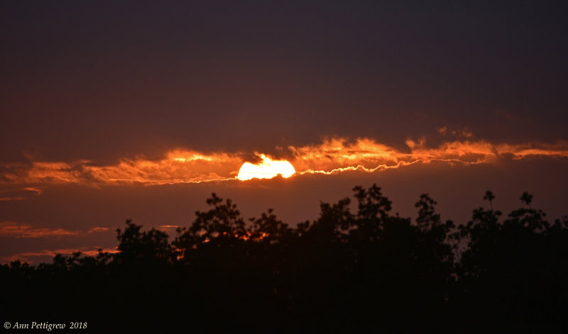 Sunset at Ding Darling NWR