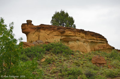 Geological Formation