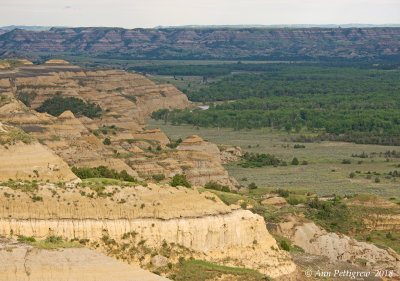 Theodore Roosevelt National Park