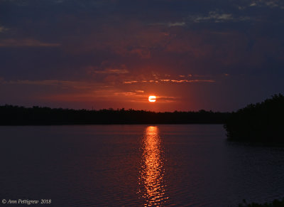 g12/20/637020/3/168882342.cHlEptgc.jpg