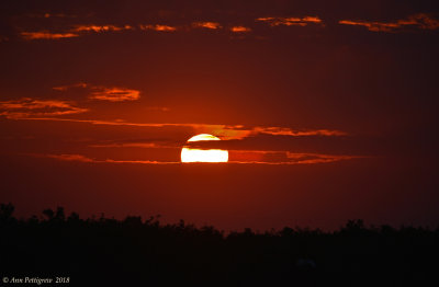 Sunset at Ding Darling NWR