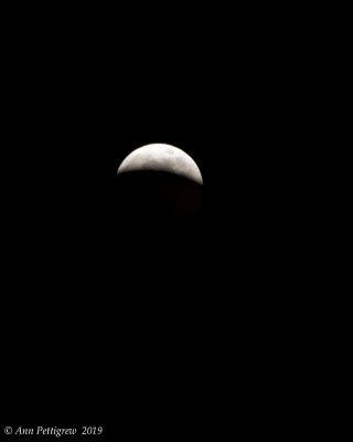 Total Lunar Eclipse