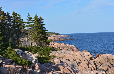 Cape Breton Coast