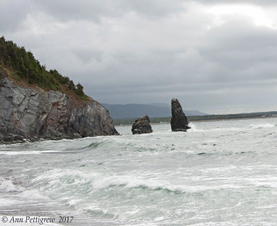 Cape Breton Coast