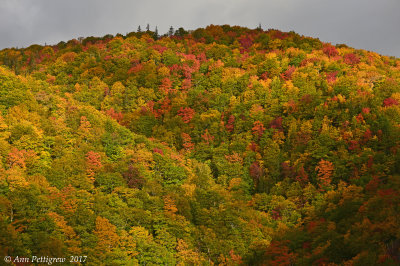 Fall in Nova Scotia