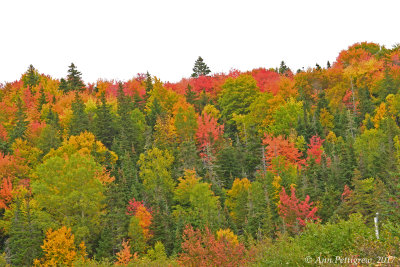 Fall in Nova Scotia
