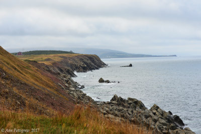 Nova Scotia Coastline