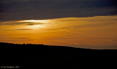 PEI Sunrise