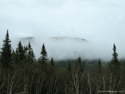 g12/20/637020/3/170667989.dhMIsZRw.jpg