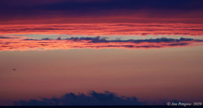 Sunset over Pamlico Sound