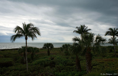 Cloudy Skies over the Gulf of Mexico