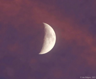 Half Moon Rising with Storm Clouds