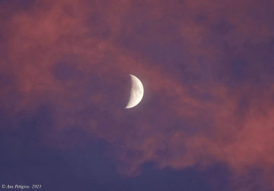 Half Moon Rising with Storm Clouds