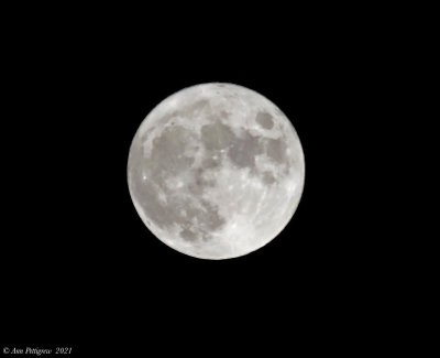 September's-Full-Moon---S7309534.jpg