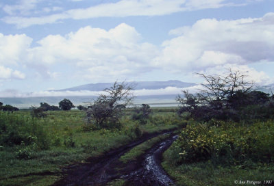 Ngorongoro Crater 