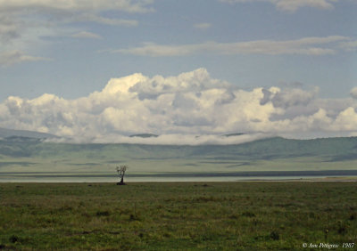 Ngorongoro Crater 