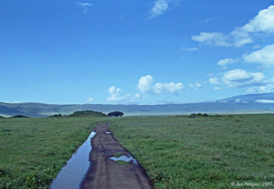 Ngorongoro Crater 