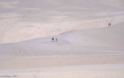 Great Sand Dunes National Park