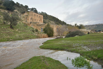 Carmelite Water Mill