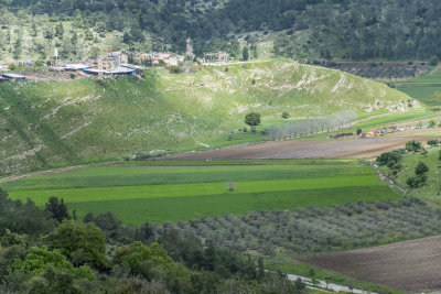 Ras Ali