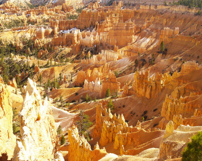 Wide view of Bryce Canyon