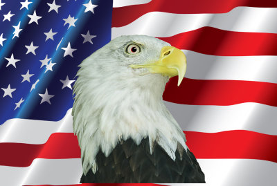 Eagle and american flag