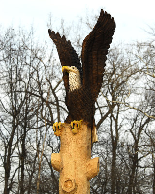 Tree trunk art