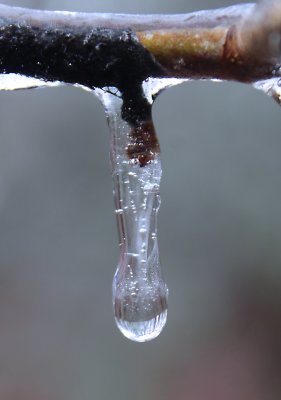 The Magic Of Ice/  Reflection In the Ice. Ice storm we had 2/18/21