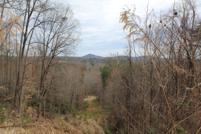 MST Sawyers Trail, Well Knob in the Back Ground 