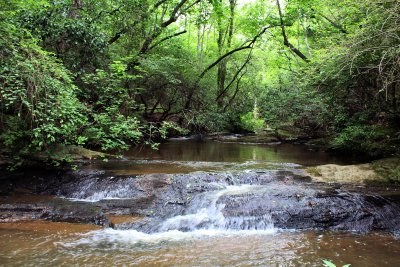 Grassy Creek