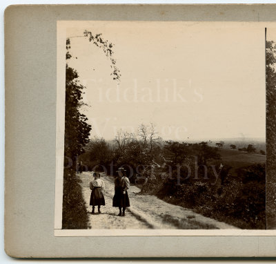 Victorian Stereoview Photo