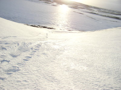 Reykjaheiði 3/2 2007