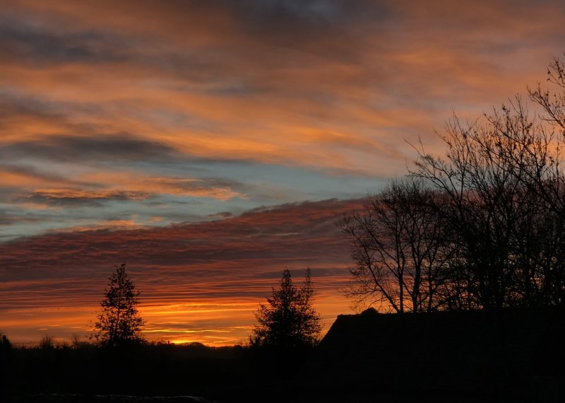 RED #5 - Sunrise