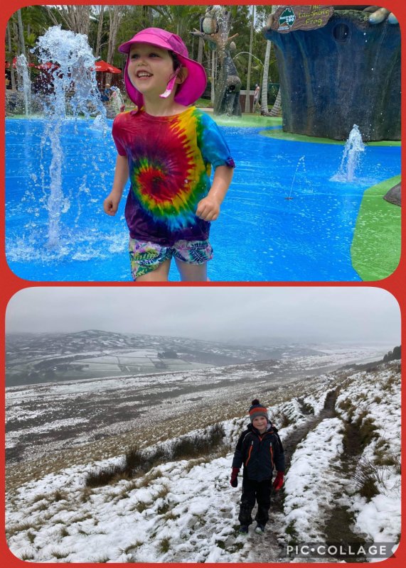Cousins - Compare and contrast
