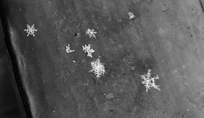 Ice crystals that came down this afternoon