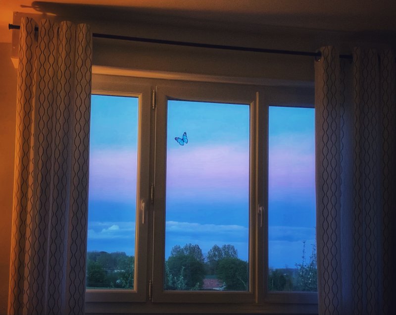 Weather or windows or frame
