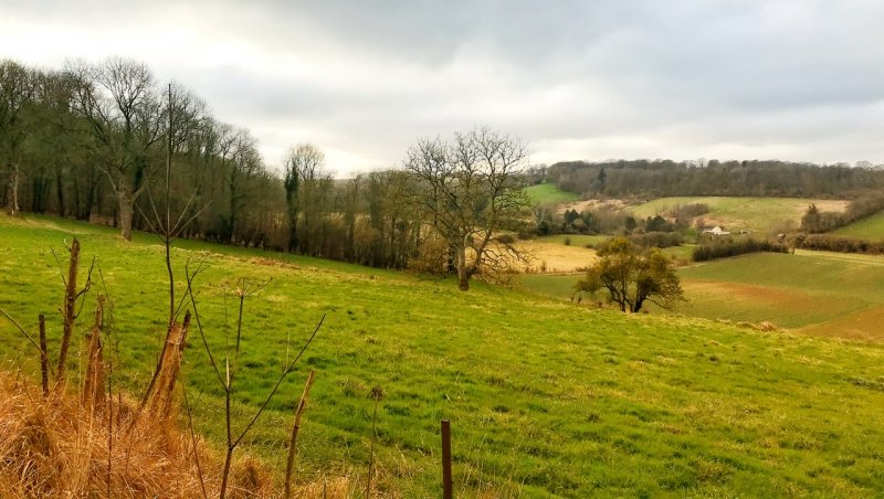 The Green, Green Grass of Home