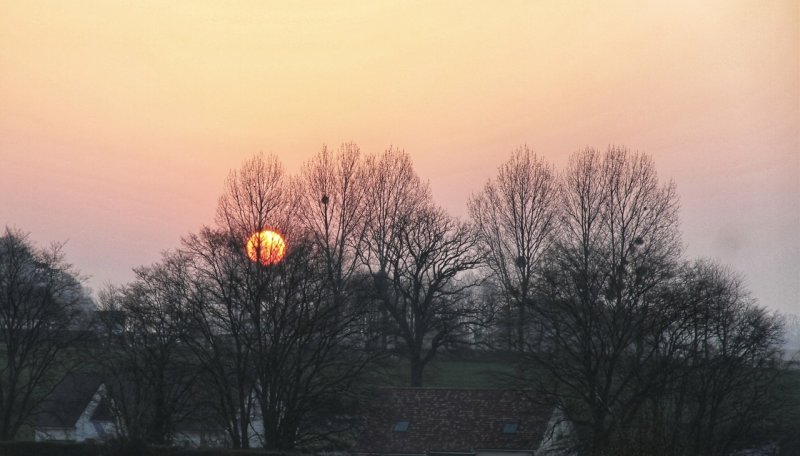 Sunrise