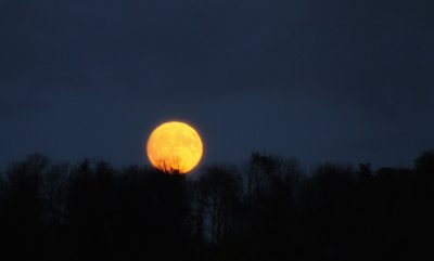 Novembers full moon