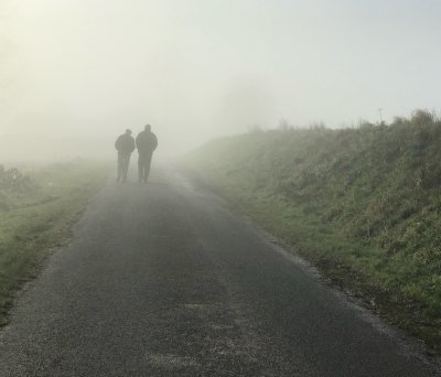 Mooching in the mist