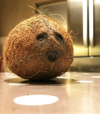 Coco-nut