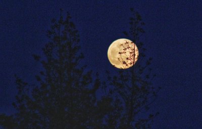 Full moon, first in Spring