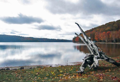 24937320driftwood_filteredsharp_treat3_29887573081_o.jpg
