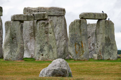 DSC_3430.jpg