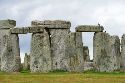 DSC_3431.jpg