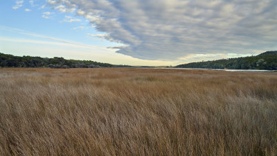 DSC_8311.jpg