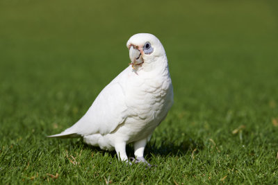 DSC_2216.jpg