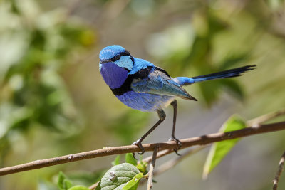 DSC_4684.jpg