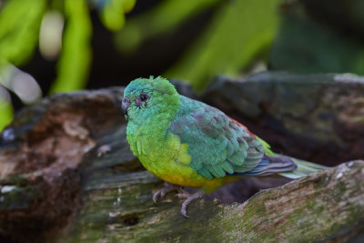 DSC_6394.jpg