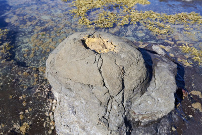 DSC_8204.jpg